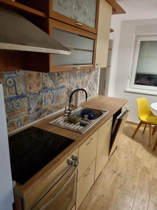Studio Apartman Bojana 34M2,Free Wifi,Parking Sisak Exterior photo